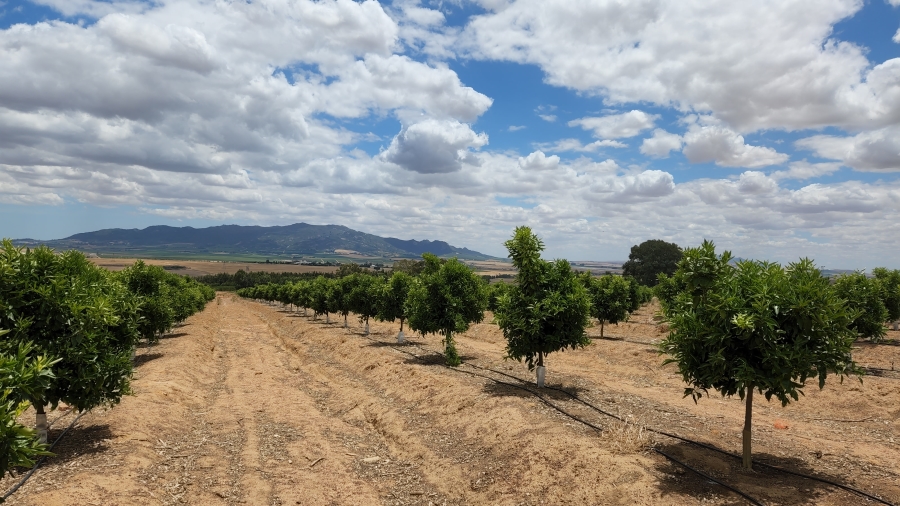 Commercial Property for Sale in Paarl Rural Western Cape